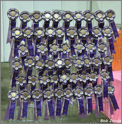 Lovely Show Rosettes